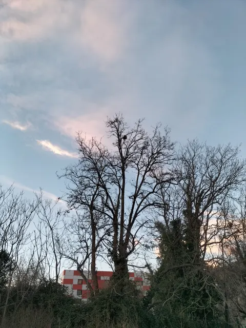 Signalement à Marseille