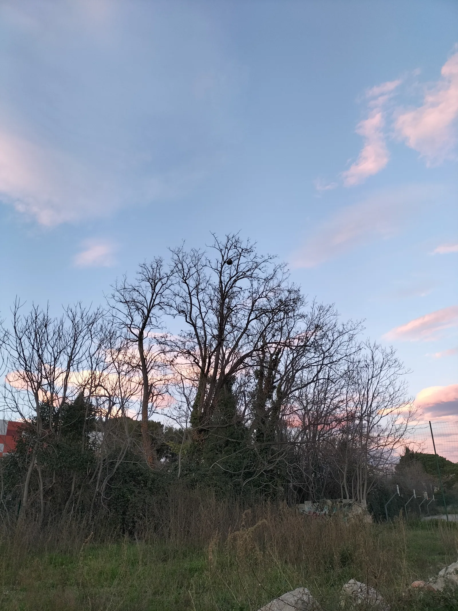 Photo du autre signalé à Marseille