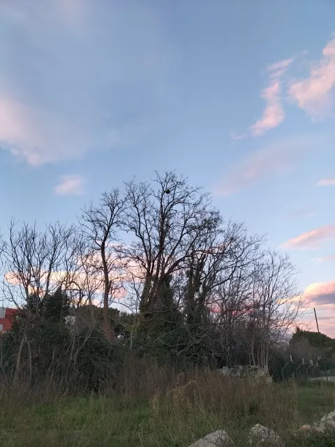 Signalement à Marseille