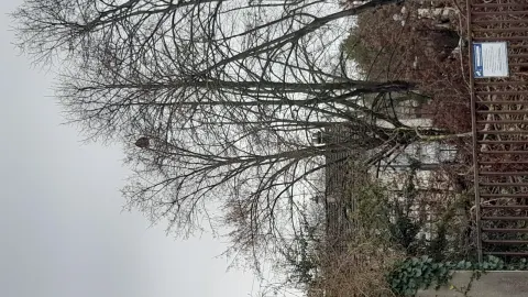 Signalement à Châtellerault