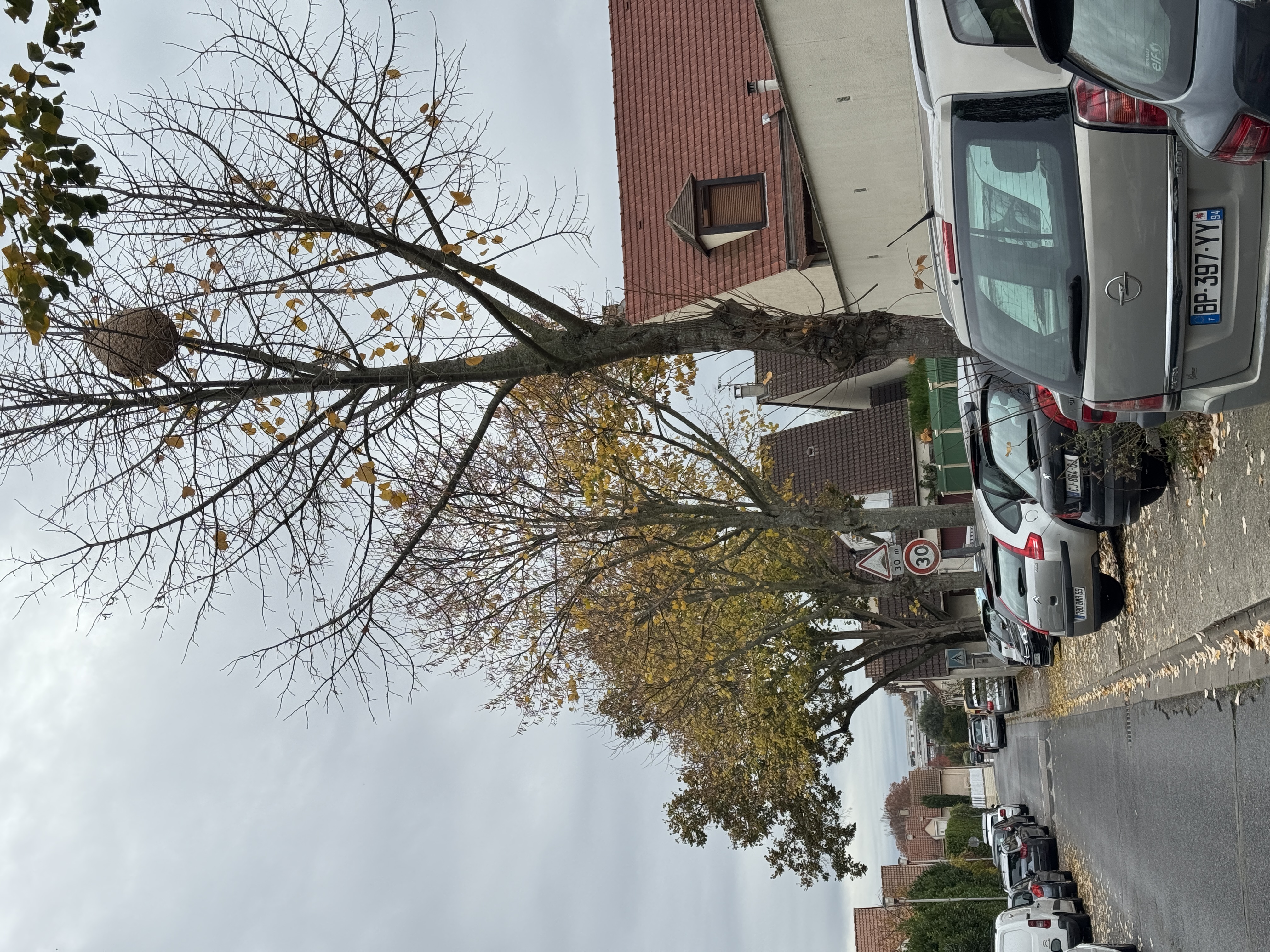 Photo supplémentaire du signalement #96