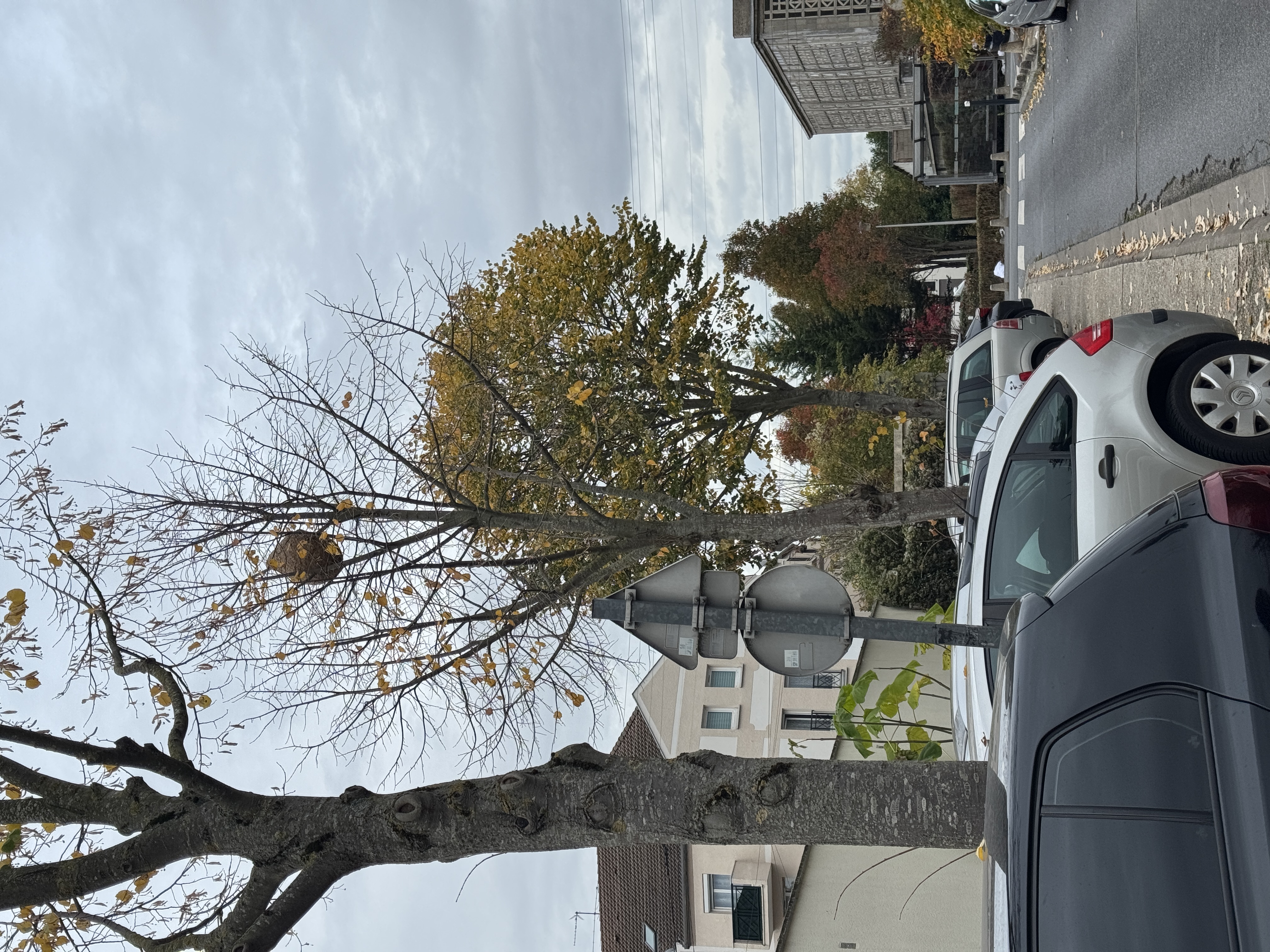 Photo supplémentaire du signalement #96