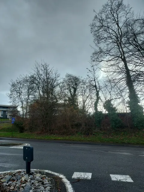 Photo du signalement #960