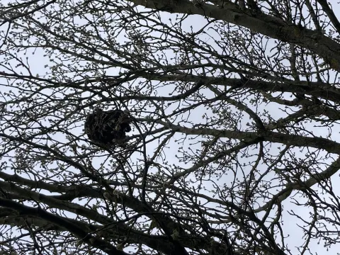 Signalement à Orléans