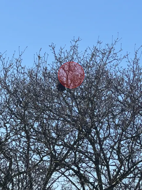 Signalement à Limours