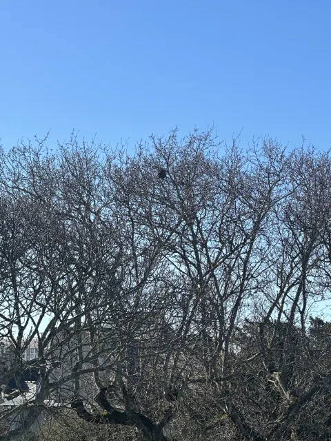 Photo du signalement #964