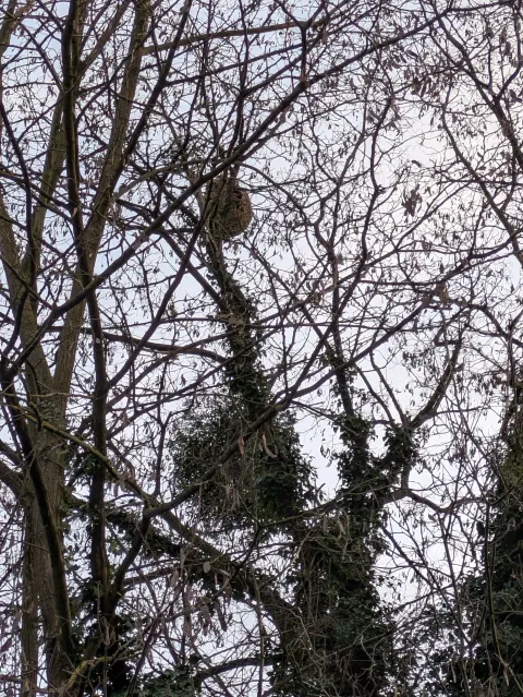 Signalement à Villemomble