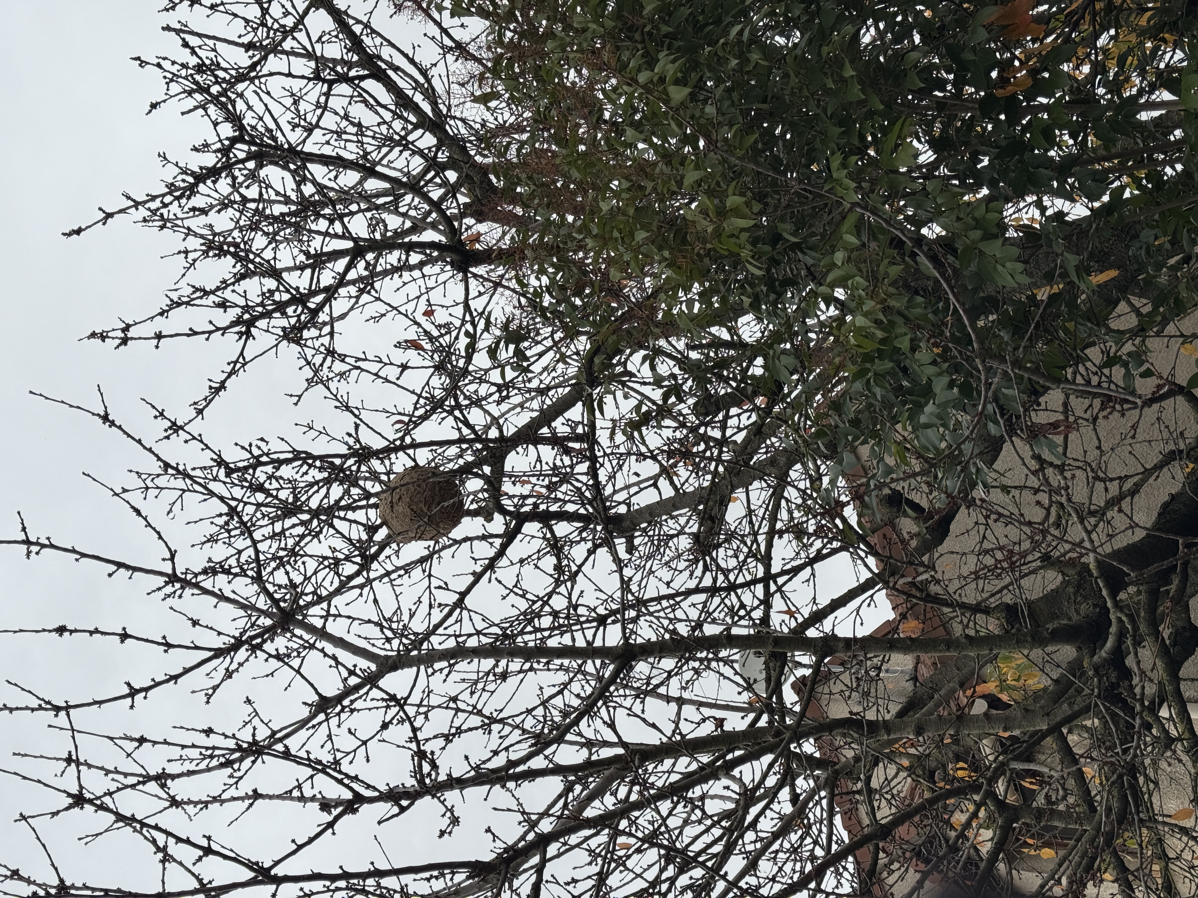 Photo supplémentaire du signalement #97