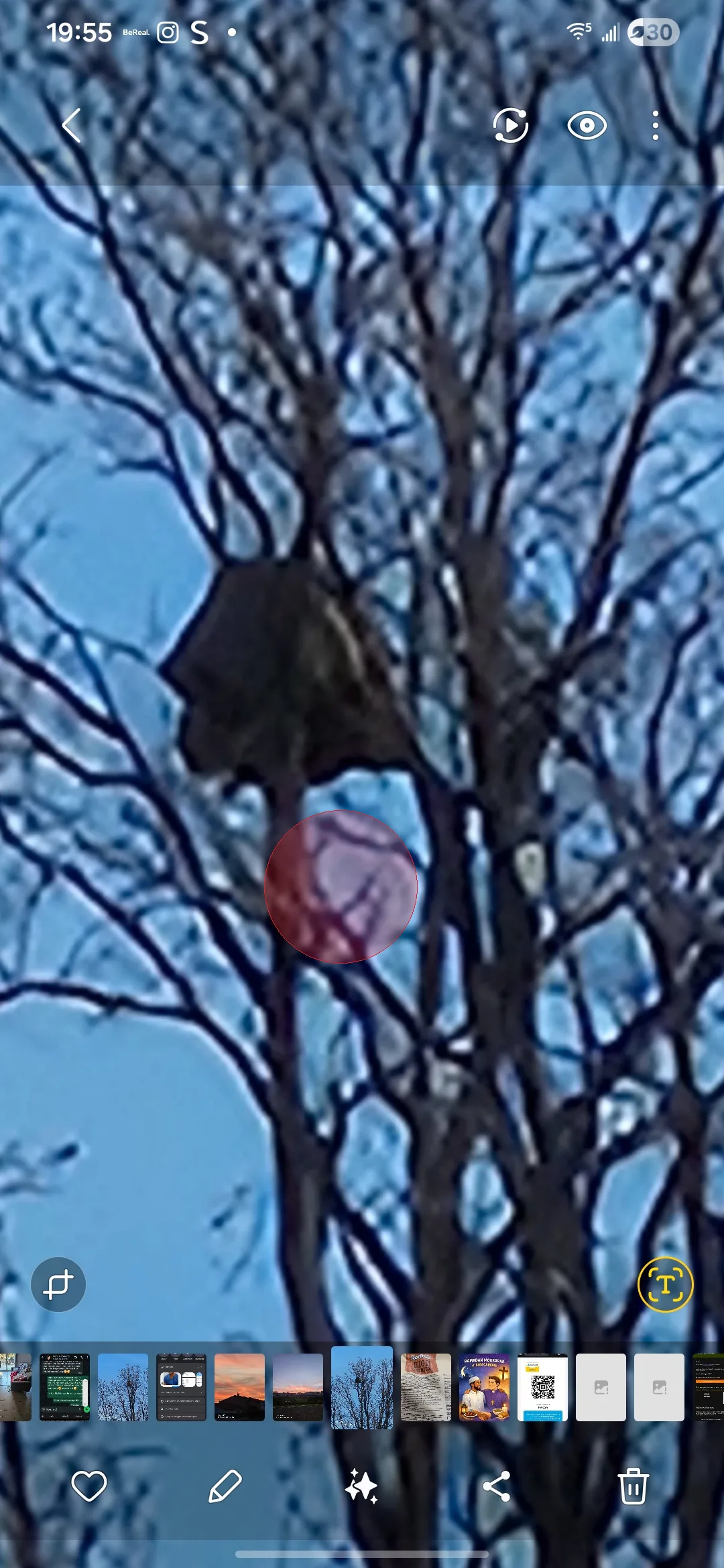Photo du autre signalé à Saint-Cyprien
