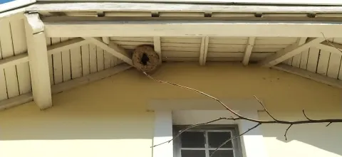 Signalement à La Bridoire