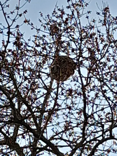 Signalement à Leyment