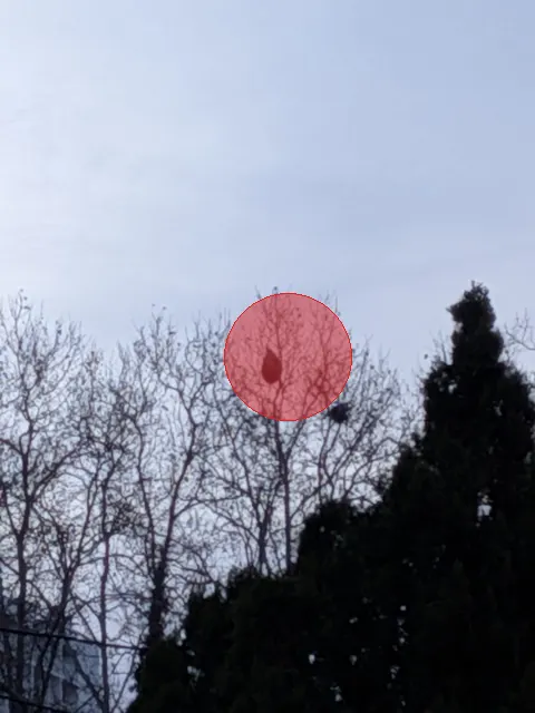 Signalement à Saint-Martin-de-Crau