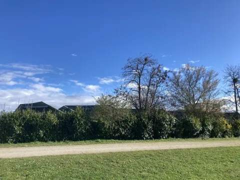 Signalement à Poitiers