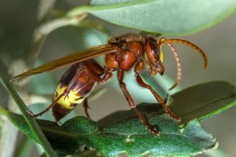 Signalement à Chamonix-Mont-Blanc