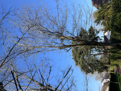 Signalement à Gif-sur-Yvette