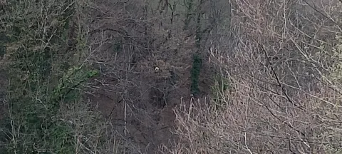 Signalement à Villard-sur-Doron