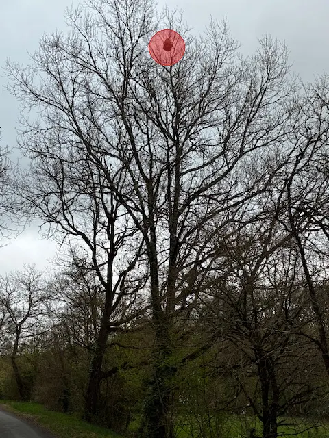 Signalement à Port-Sainte-Marie
