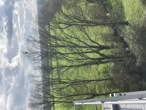 Signalement à Segré-en-Anjou Bleu