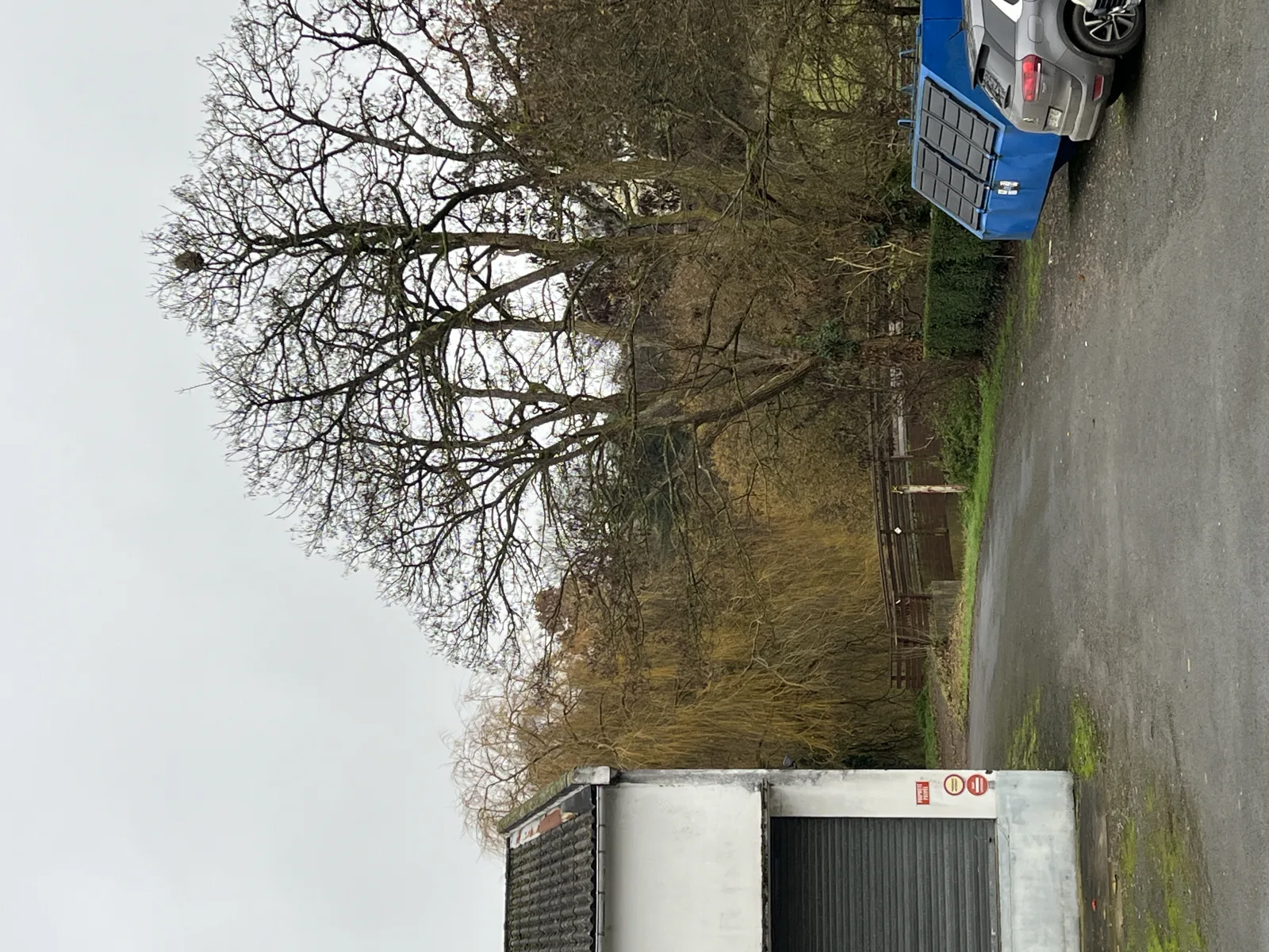 Photo du nid de frelon asiatique signalé à Gorron