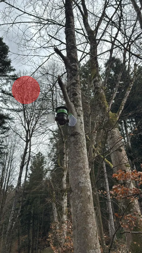 Signalement à Saint-Laurent-Blangy